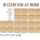 FREE Ultimate Riddle Treasure Hunt - over 100 Clues PDF